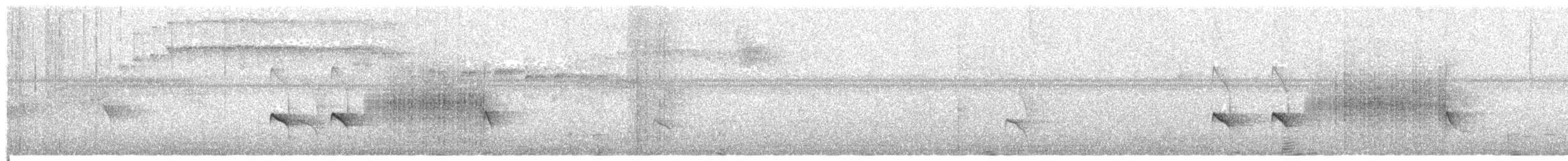 Klages's Antbird - ML630781545