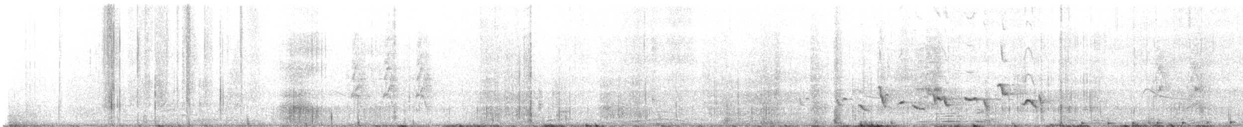 Scott's Oriole - ML630793798