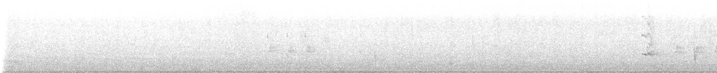 Hermit Thrush - ML630800245