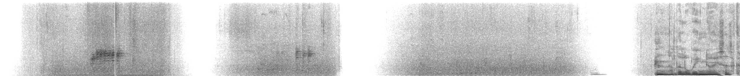 Perruche de Malherbe - ML630804193