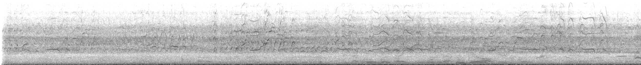 Black-bellied Whistling-Duck - ML630805749