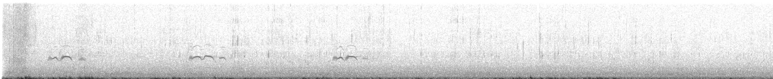 Domestic goose sp. (Domestic type) - ML630806288
