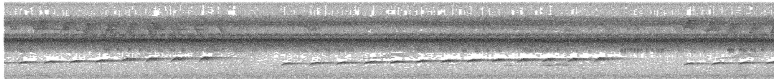 Philippine Drongo-Cuckoo - ML630829614