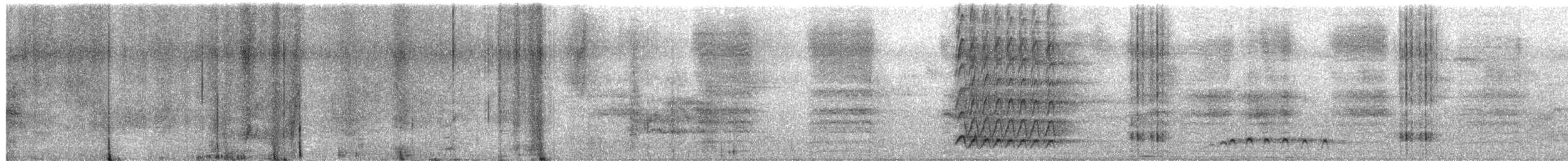 ボウシゲラ - ML630832807