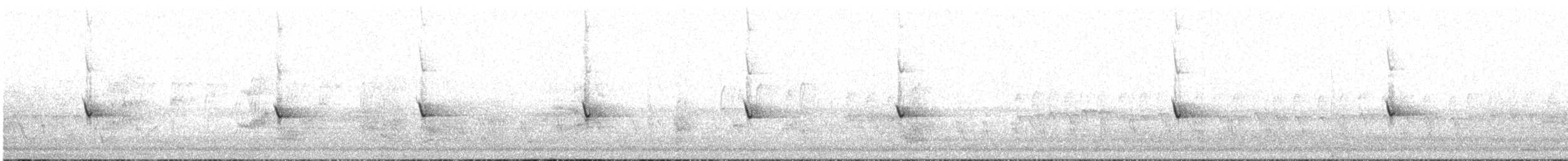 New Holland Honeyeater - ML630834036