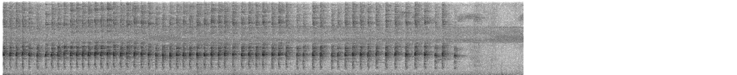 svartbukgjøk - ML630835317