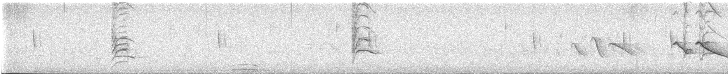 Schwarzzeisig - ML630843779