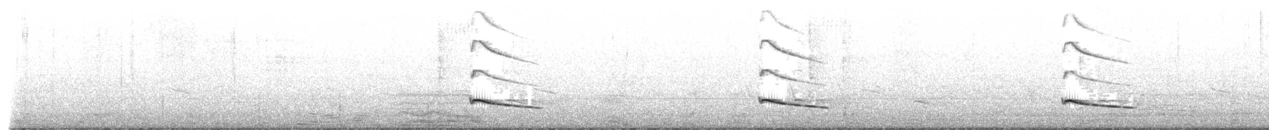 Red-winged Starling - ML630843992