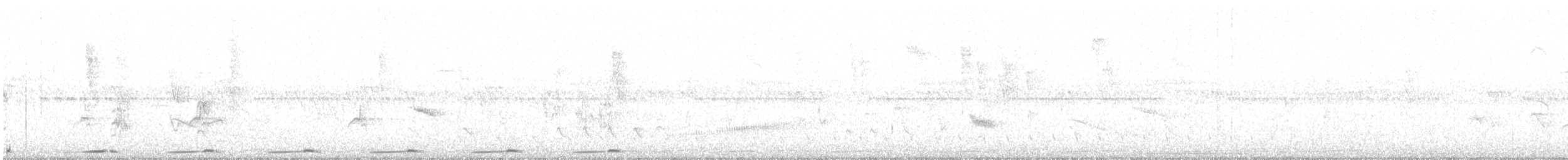 holoubek pikui - ML630854444