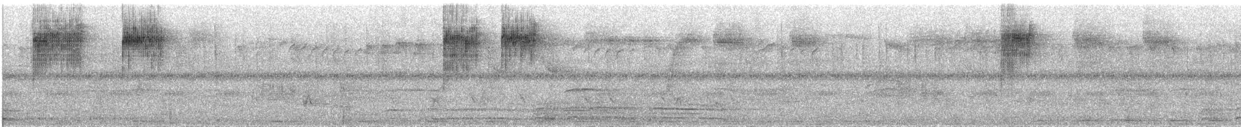 lysbukblomsterfugl (obscurum/cagayanense) - ML630892359