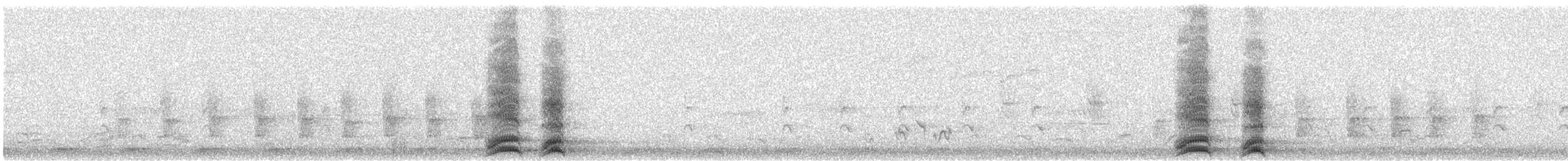 White-necked Raven - ML630893858