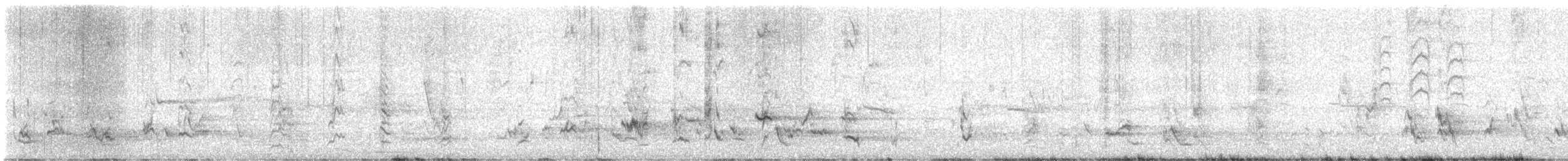 maorihonningeter - ML630894394