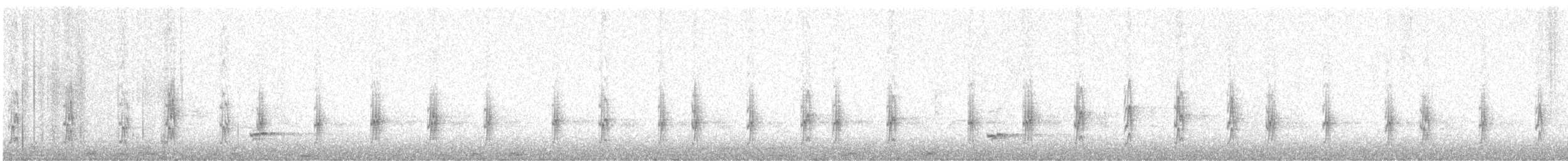 チリーカマドドリ - ML630900082