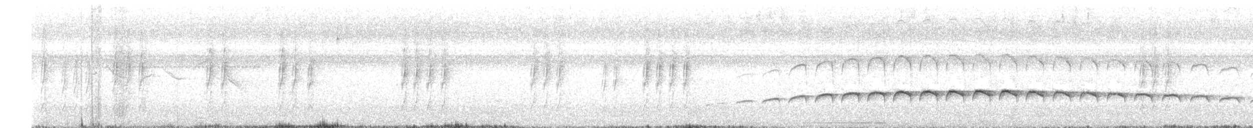 Large-tailed Antshrike - ML630900350