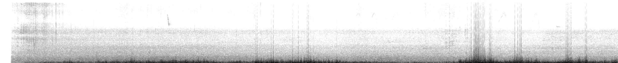 Black Scoter - ML630907460