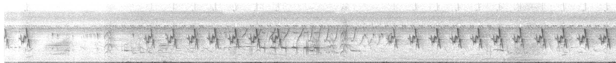 Ashy Prinia - ML630908950