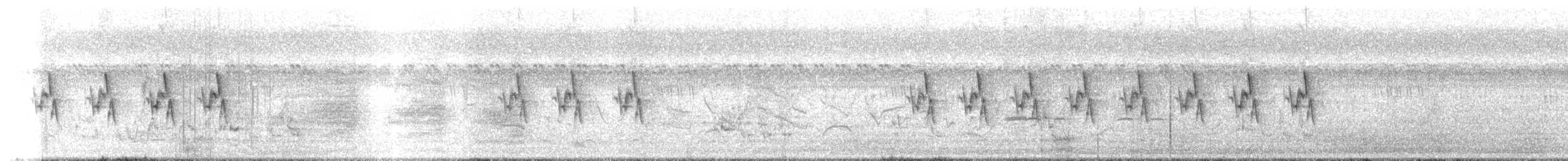 Ashy Prinia - ML630908951