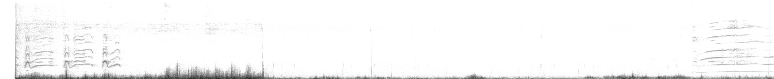 White-tailed Hawk - ML630911187