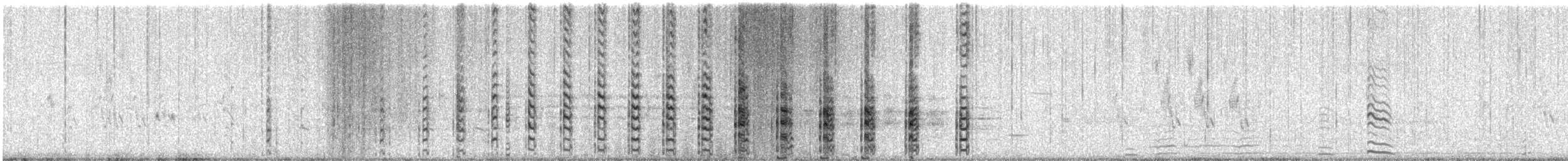 American Coot - ML630913510