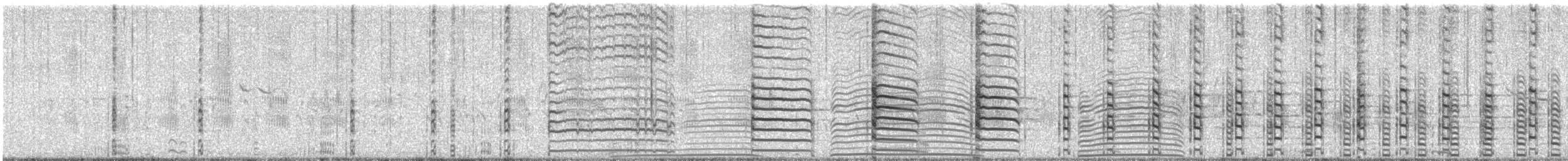 American Coot - ML630913511