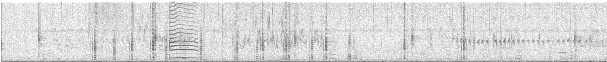 American Coot - ML630913512