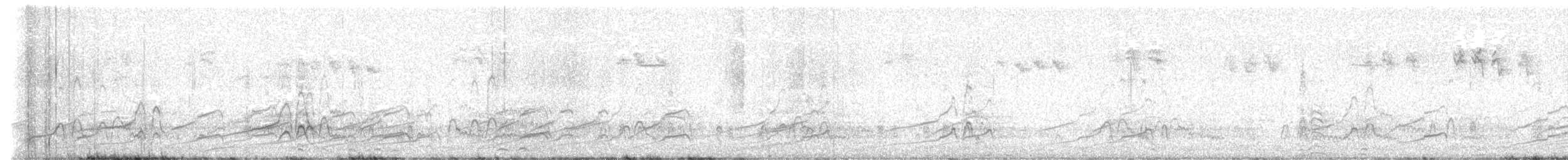 Chiloe Wigeon - ML630916495
