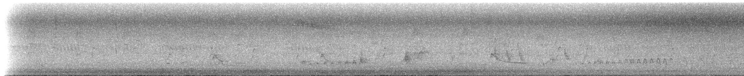 Whistling Kite - ML630918021