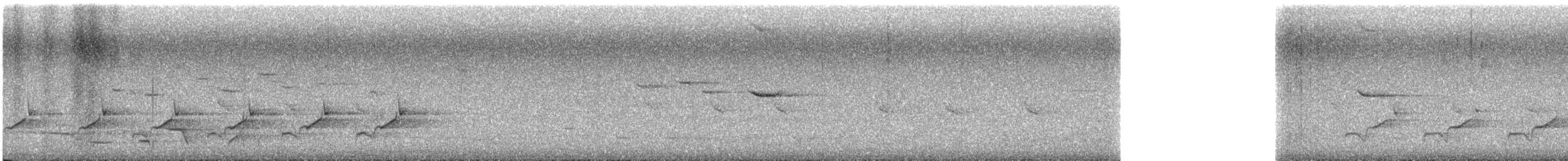ビロードヒラハシ - ML630918485