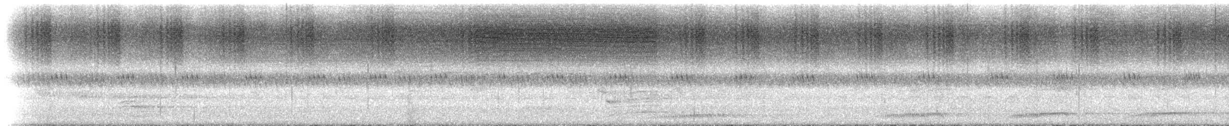 Channel-billed Cuckoo - ML630924161