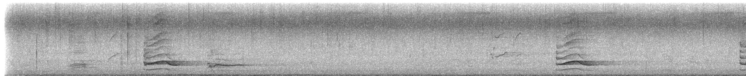 Pied Currawong - ML630924173