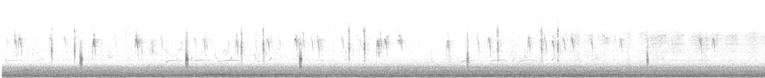 Quiscale bronzé (quiscula/stonei) - ML630933526