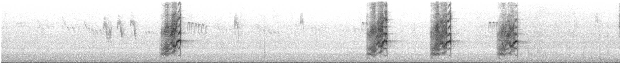 Калифорнийская сойка - ML630937791