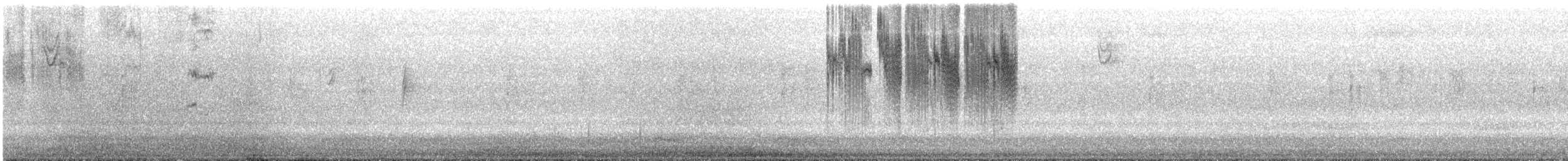 Рубиновый калипсо - ML630937806