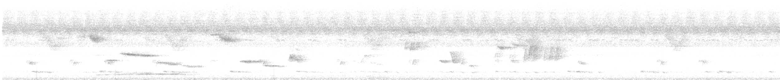 Phasianelle onchall - ML630944753