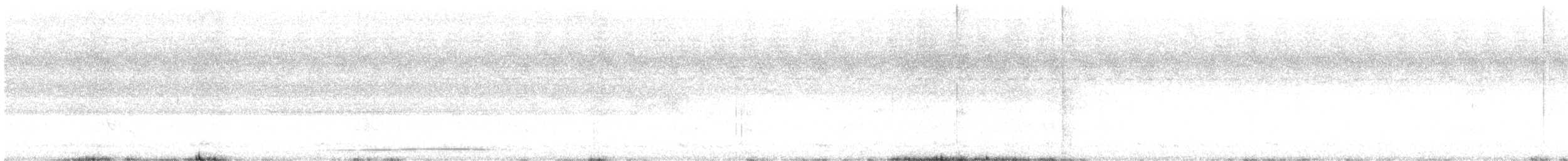 Phasianelle onchall - ML630944754