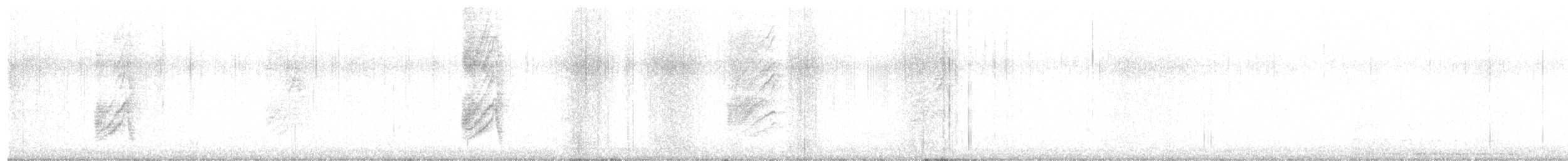Woodhousehäher - ML630945212