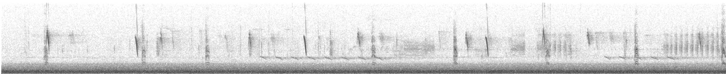 Moucherolle phébi - ML630951419
