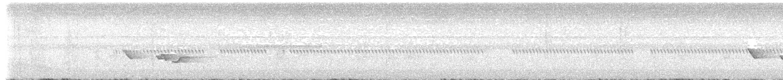 Neumann's Warbler - ML630951549