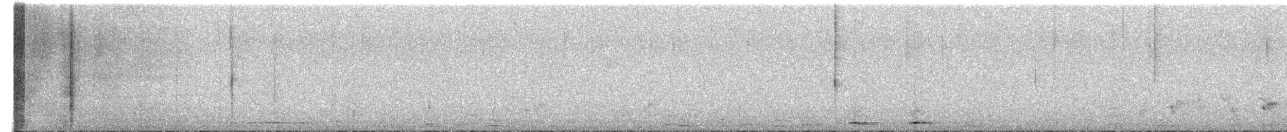 Рыжеголовая широкохвостка - ML630957465