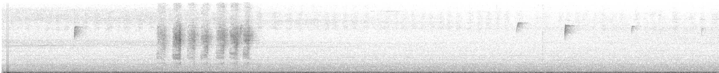 Поплітник каролінський - ML63095761