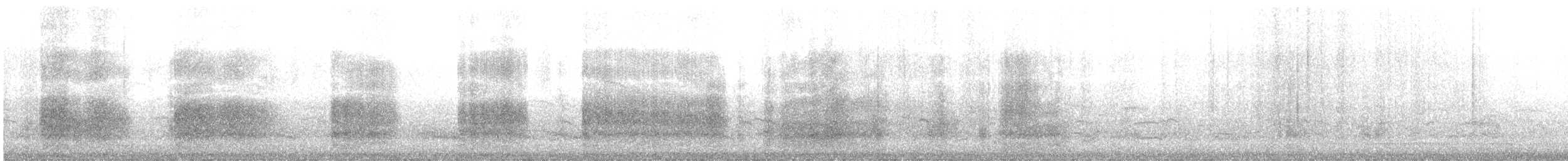 Aura Gallipavo - ML630959238