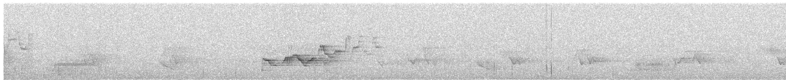 Swainson's Thrush - ML630960415