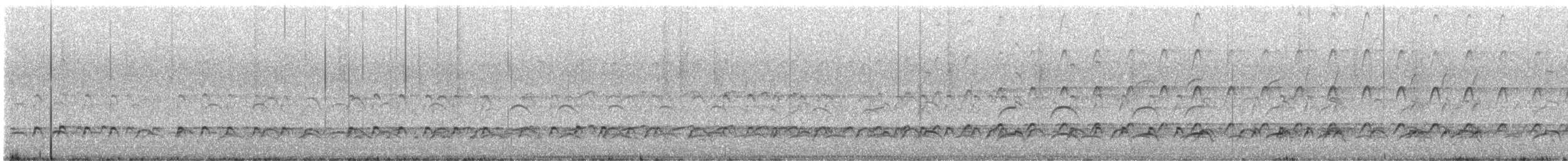 Spotted Thick-knee - ML630962641