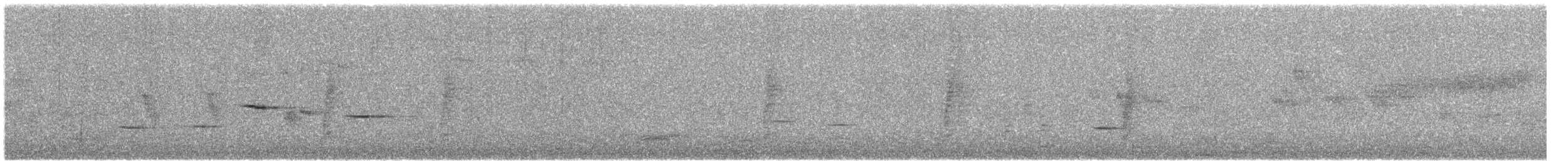 hvitvingepløsøye - ML630964211