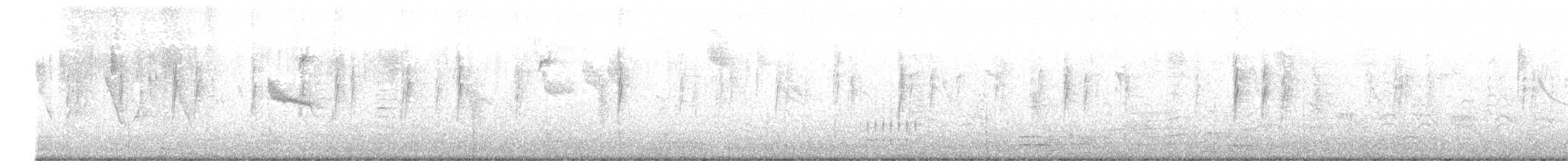 Nuttall's Woodpecker - ML630965746