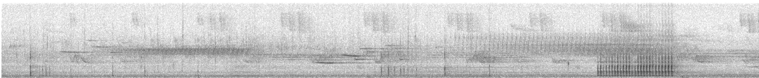 Hairy Woodpecker - ML630969231