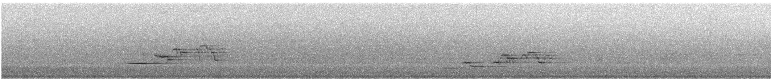 Hermit Thrush - ML630969298