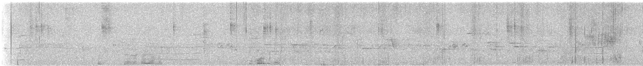 Wedge-tailed Sabrewing (Curve-winged) - ML630970147