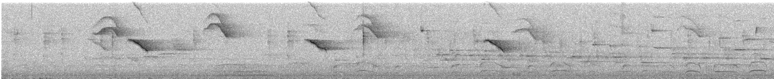 mørkhettetyrann (lawrenceii gr.) - ML630970535