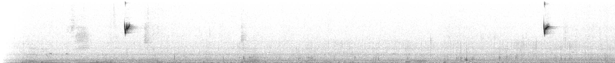 Colibri de Stübel - ML630972241